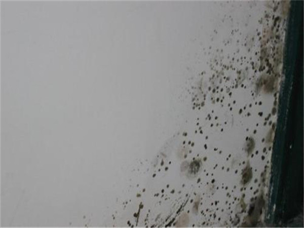 旧房翻新之墙面发霉应该注意什么?