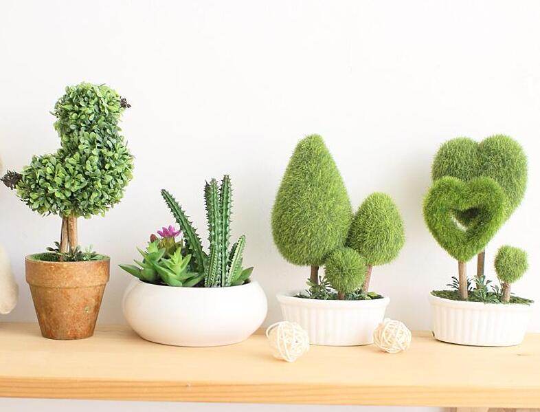 旧房翻新后室内摆放绿植风水的重要性