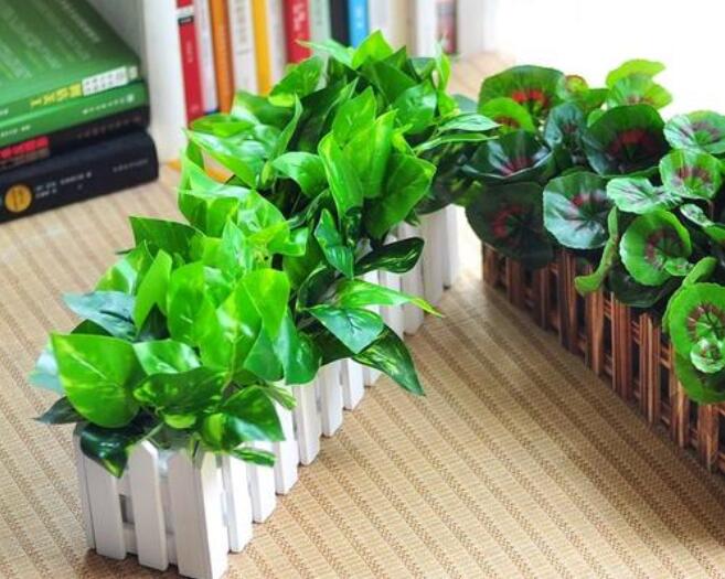 旧房改造后如何净化室内空气