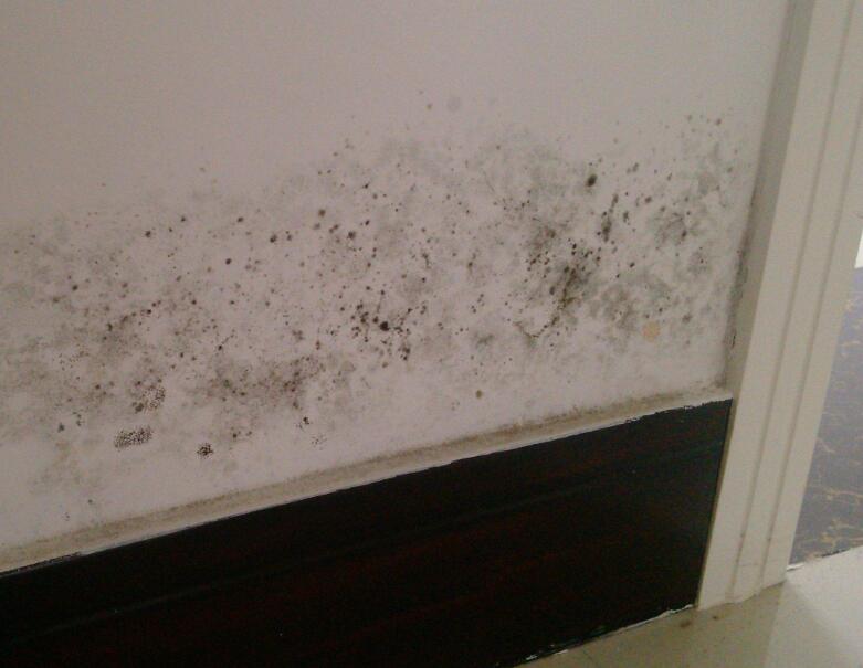 老屋改造时选择防霉涂料