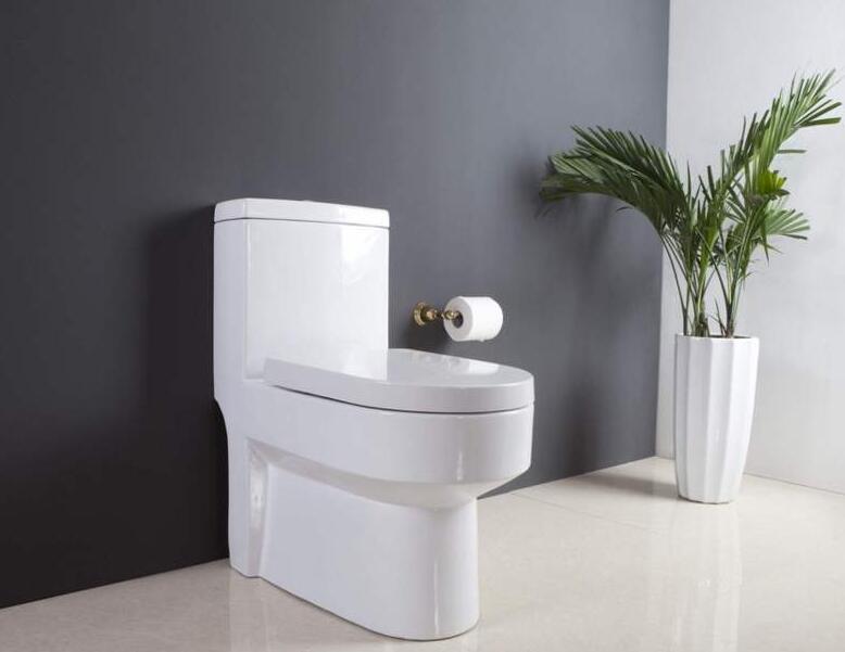 旧房改造选择马桶的5个注意事项