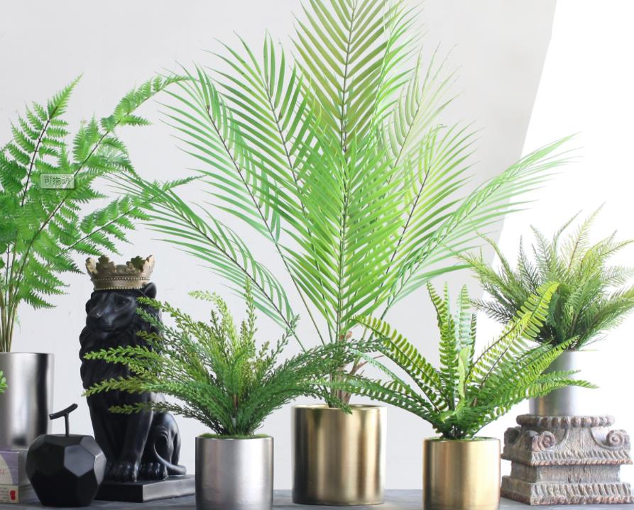 旧房改造后家中绿植怎么摆比较有活力？